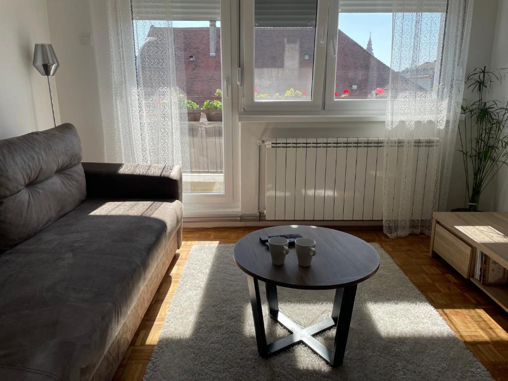 Sunny Apartment Vrsac Exterior photo